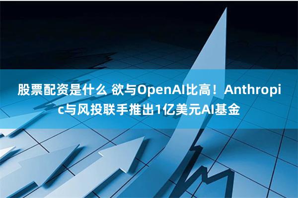股票配资是什么 欲与OpenAI比高！Anthropic与风投联手推出1亿美元AI基金