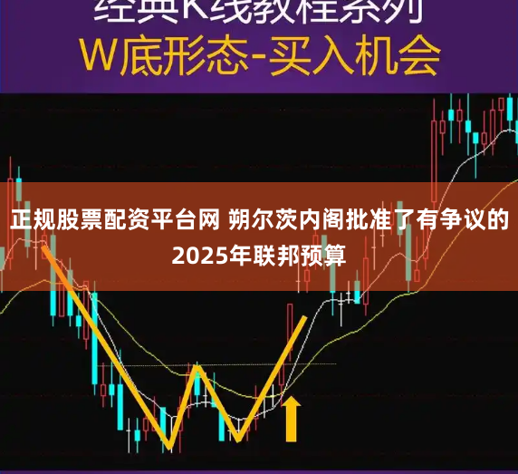 正规股票配资平台网 朔尔茨内阁批准了有争议的2025年联邦预算