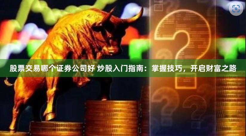 股票交易哪个证券公司好 炒股入门指南：掌握技巧，开启财富之路