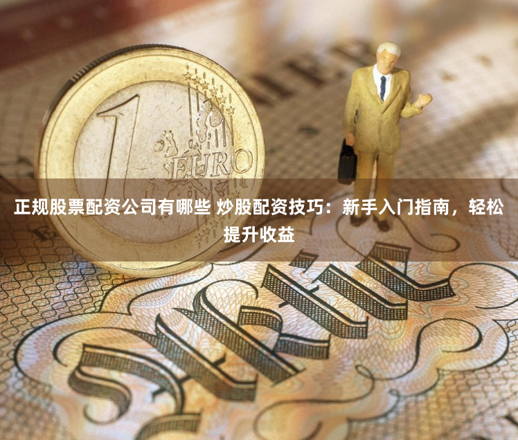 正规股票配资公司有哪些 炒股配资技巧：新手入门指南，轻松提升收益