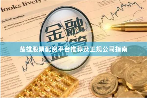 楚雄股票配资平台推荐及正规公司指南