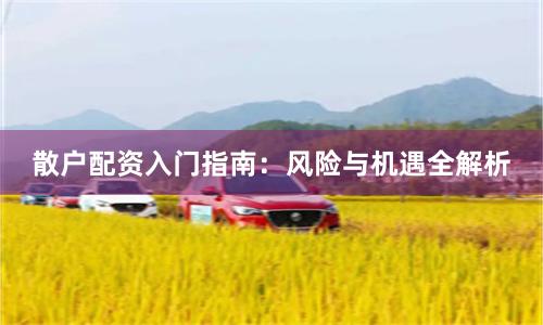 散户配资入门指南：风险与机遇全解析